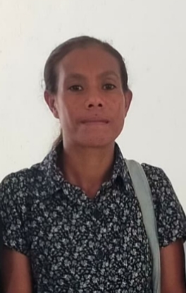 Josefina Lopes Rodrigues, L. TI